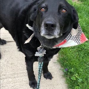 Meet your Posher, Lucee